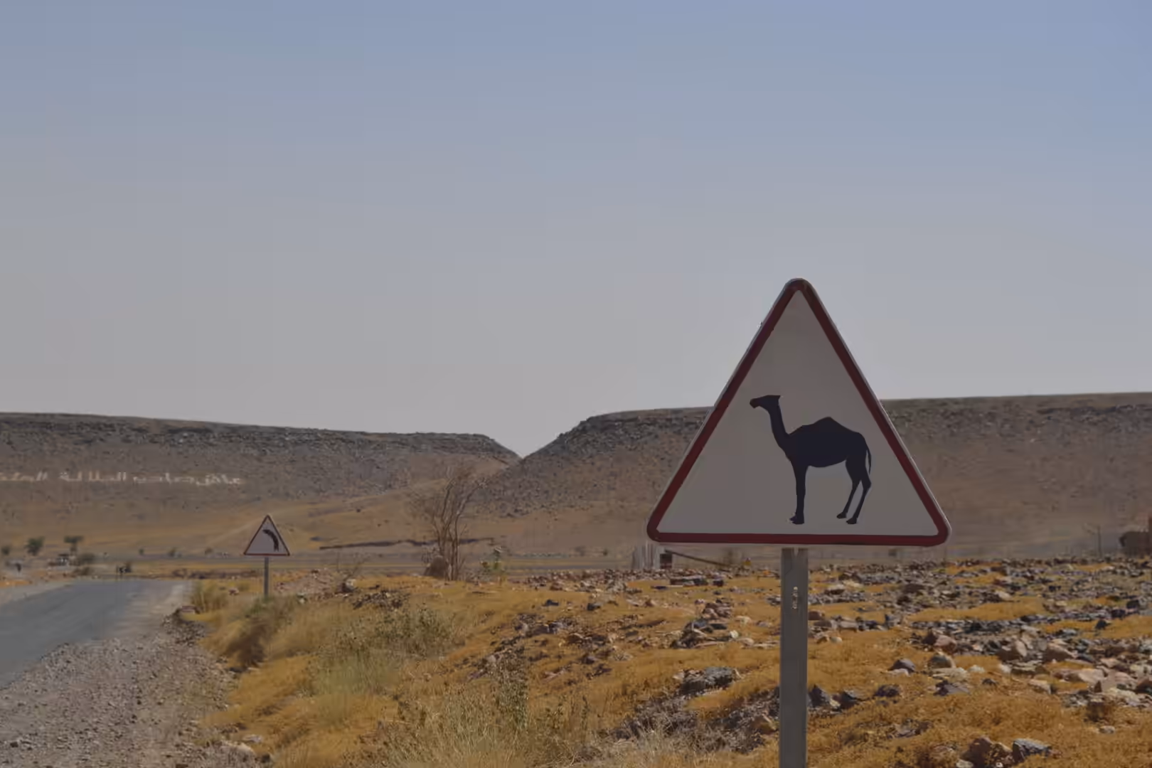 Camel crossing warning sign on desert road
