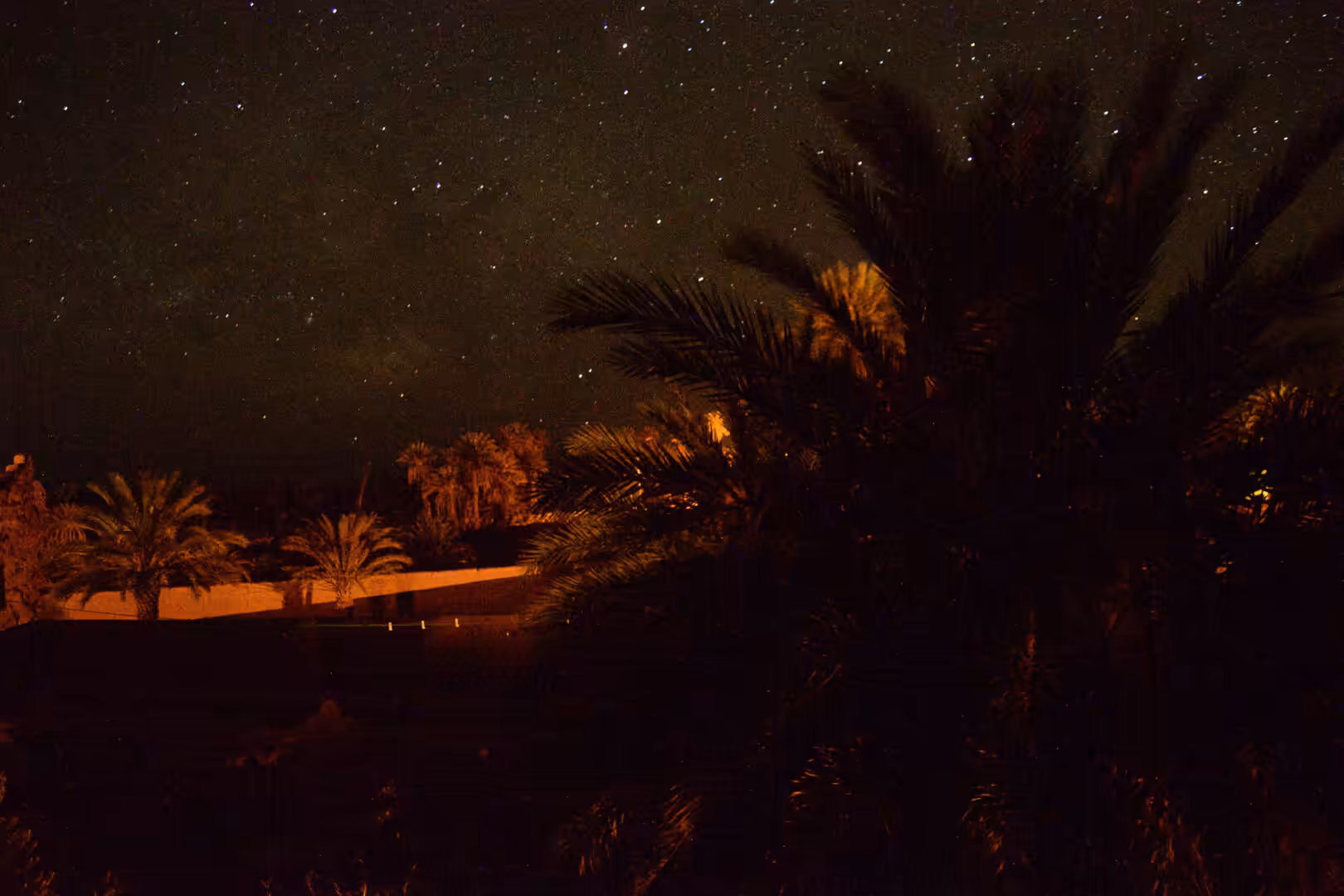 Starry night sky above palm trees in Moroccan oasis