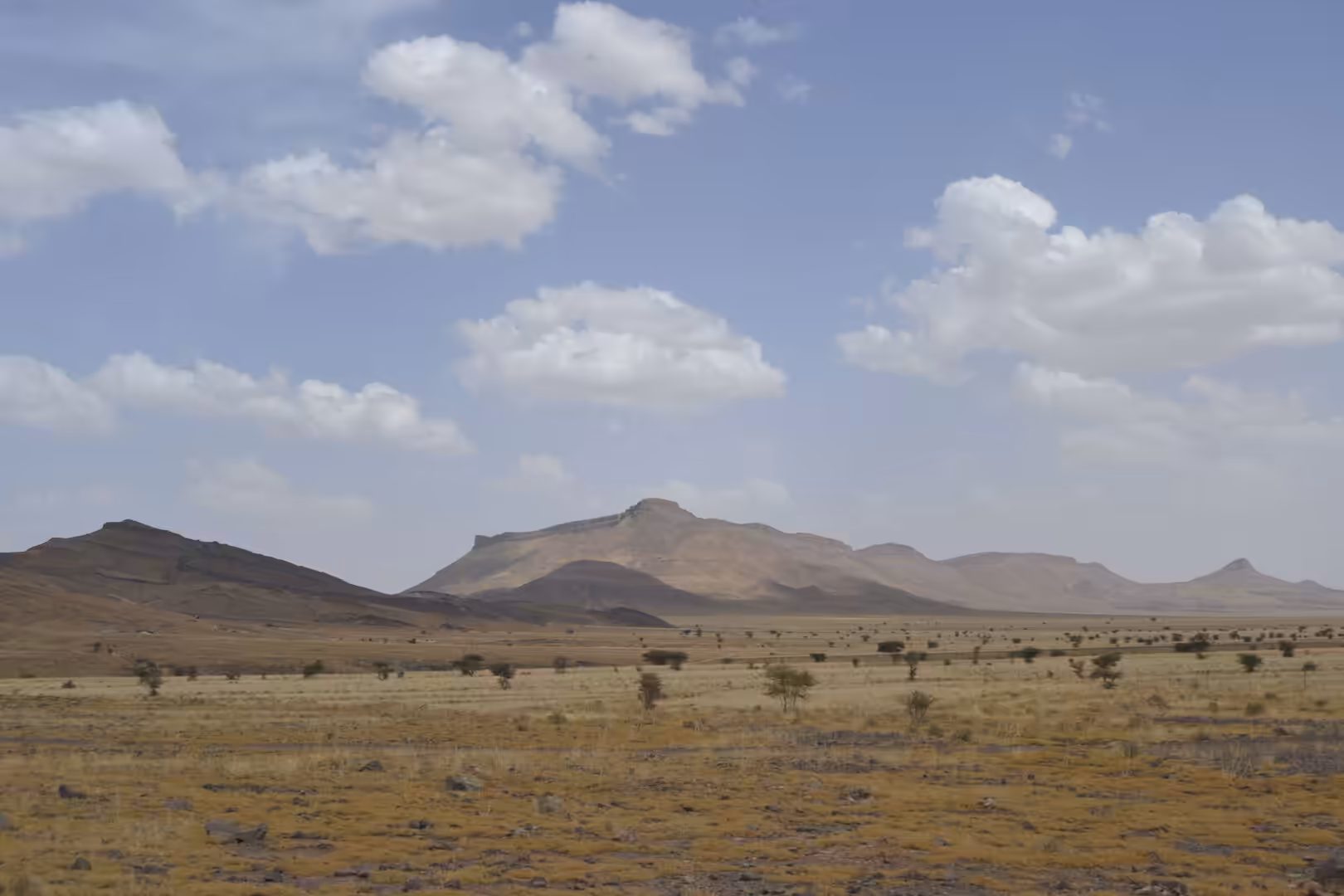 Desert plain with scattered acacia trees and distant mountains