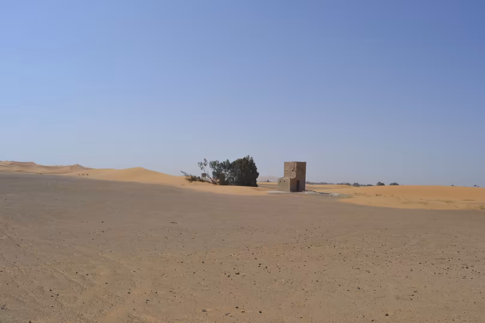 Small desert structure beside tree and dunes