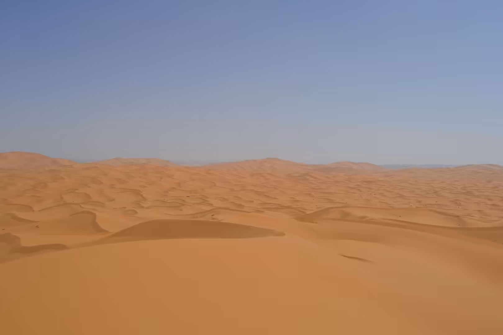 Endless Sahara dunes stretching to horizon