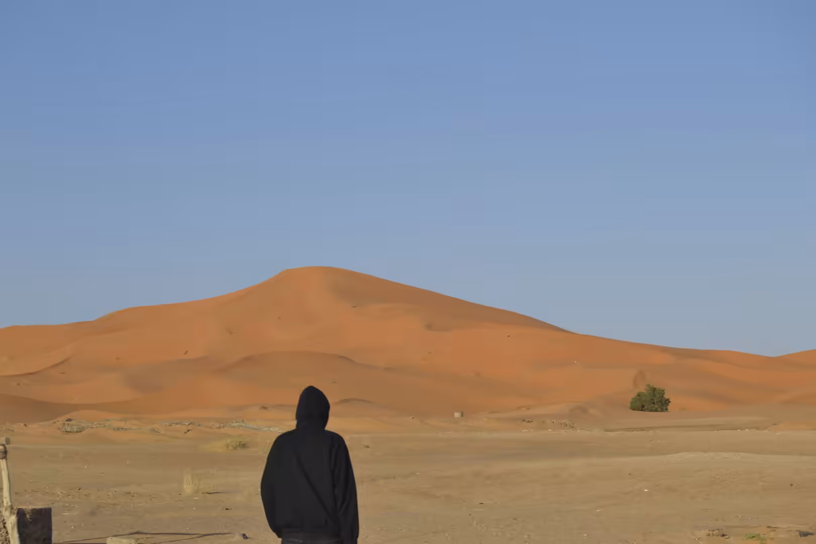 Person looking at large Sahara sand dune