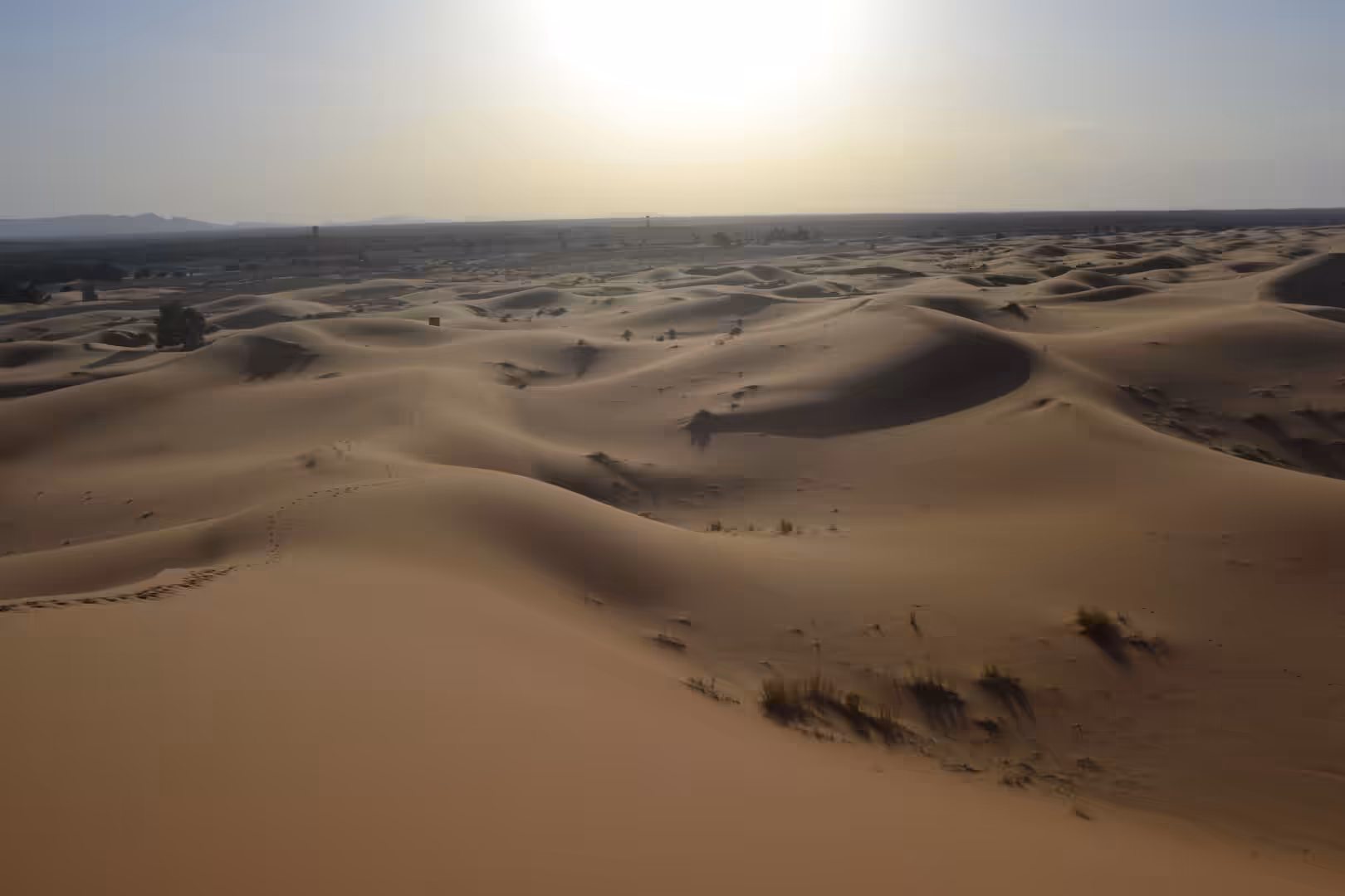 Rolling sand dunes at sunset in the Sahara Desert