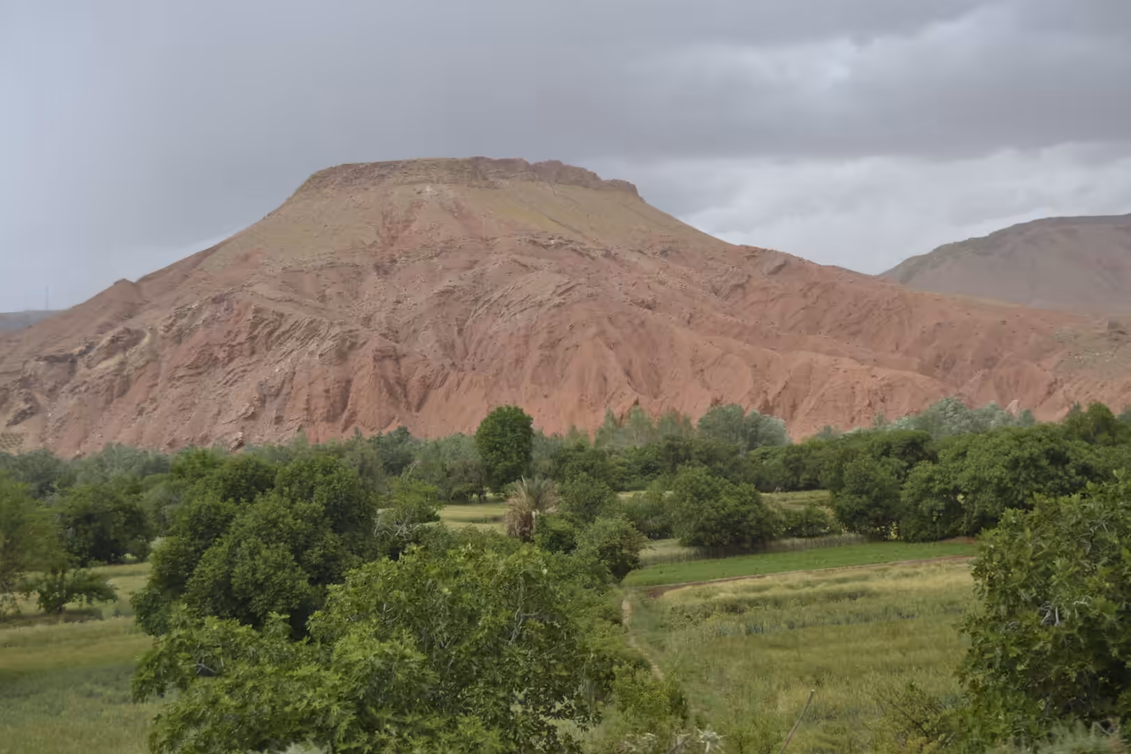 Green oasis fields with red desert mountain