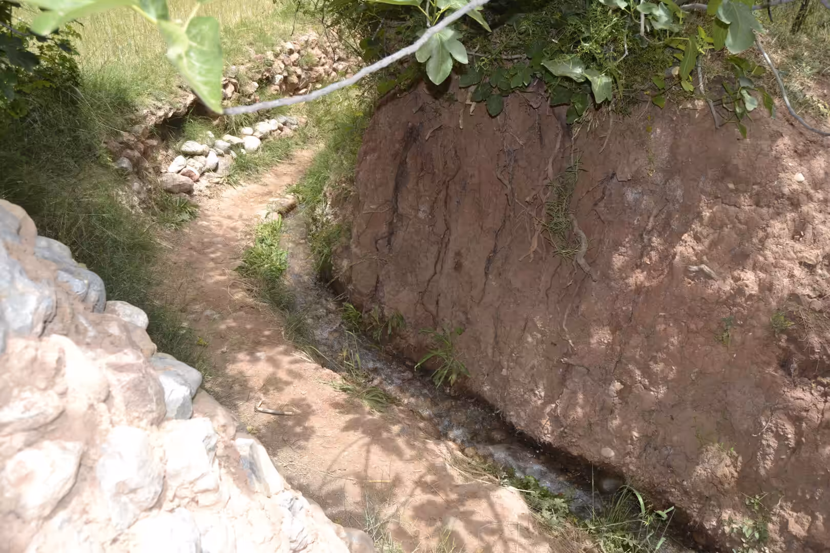 Small irrigation stream beside an earthen bank in a Moroccan oasis