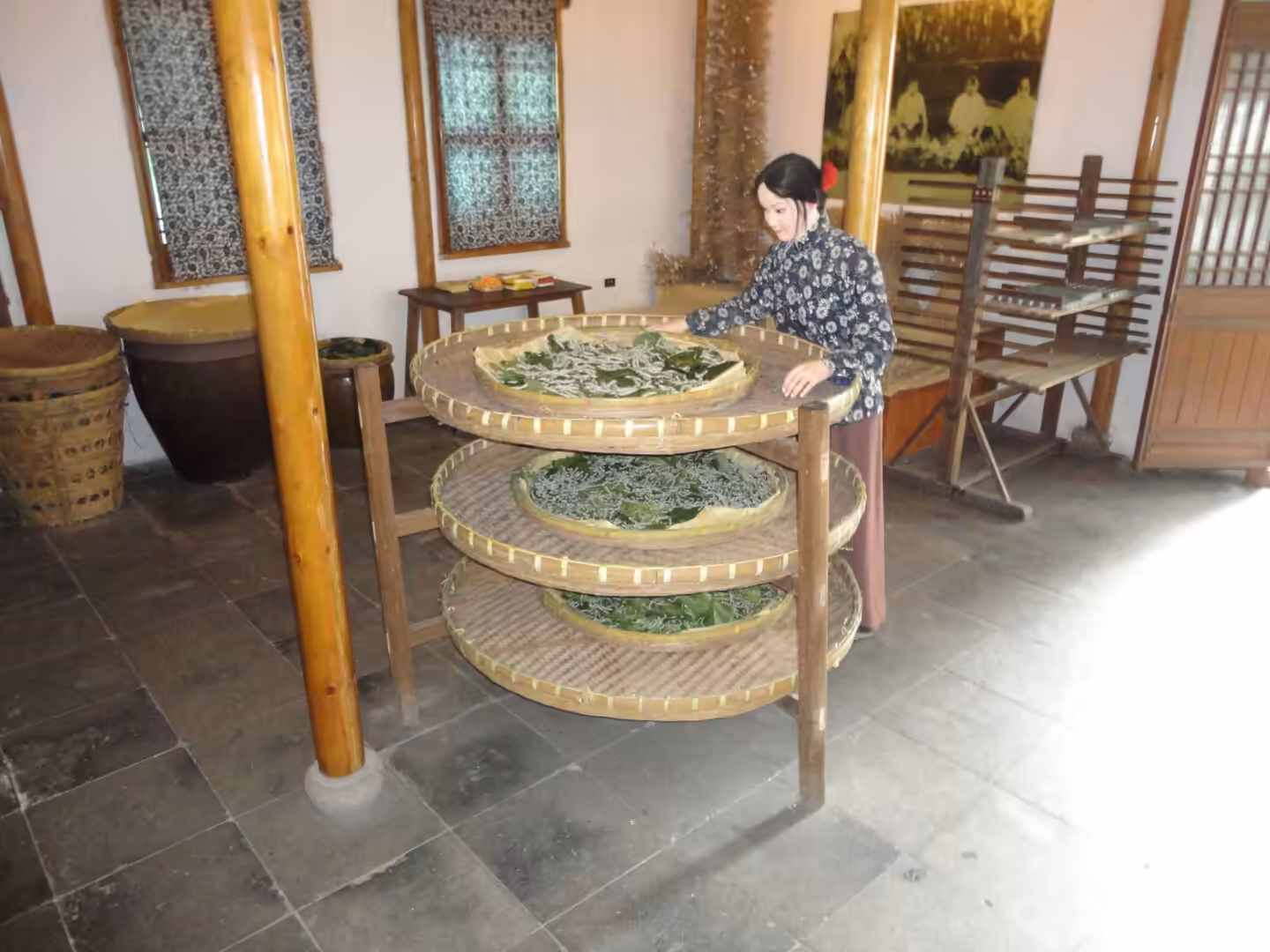 Museum display showing traditional silkworm rearing trays with mulberry leaves inside a historic interior.