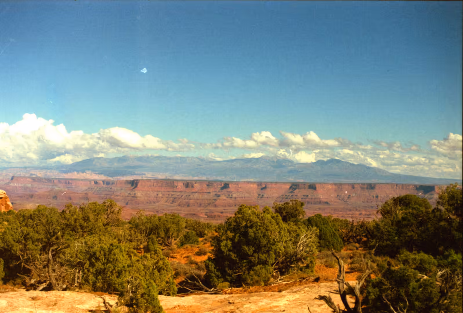 Red rock plateau with distant snow-capped mountains