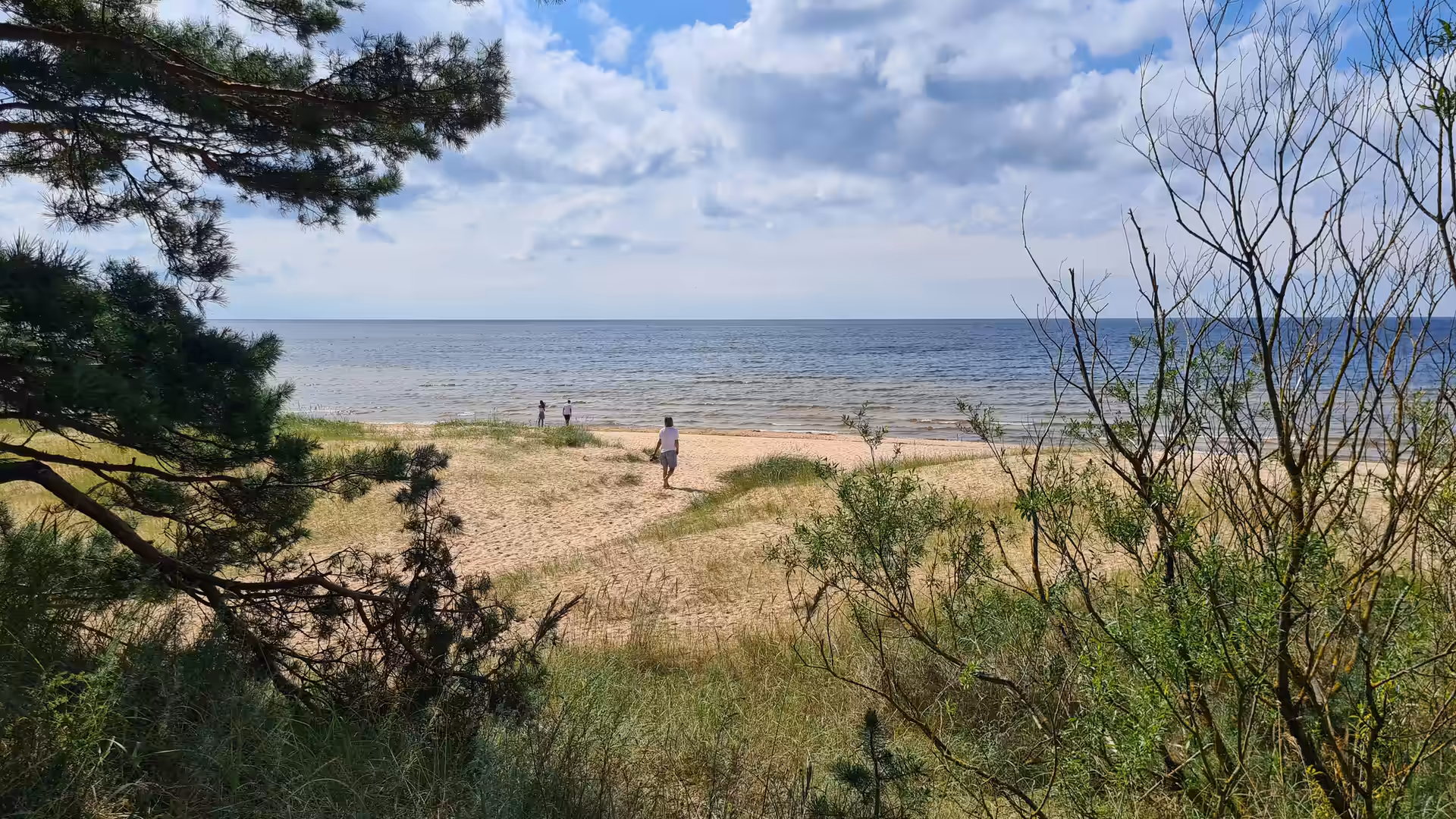 A sandy beach on the Estonian Baltic Sea coast framed by pine trees, with visitors walking toward the calm water.