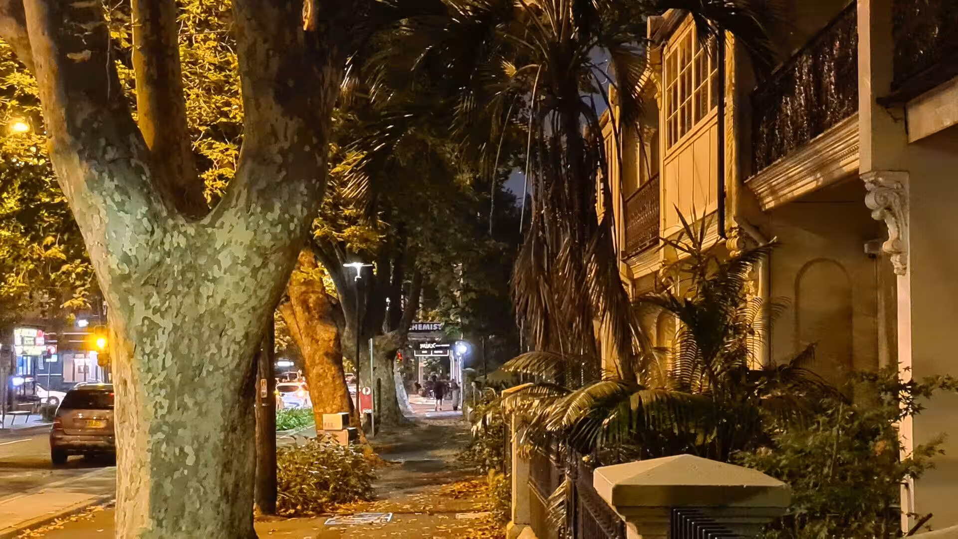 Night sidewalk flanked by a mottled plane tree and balconied terraces