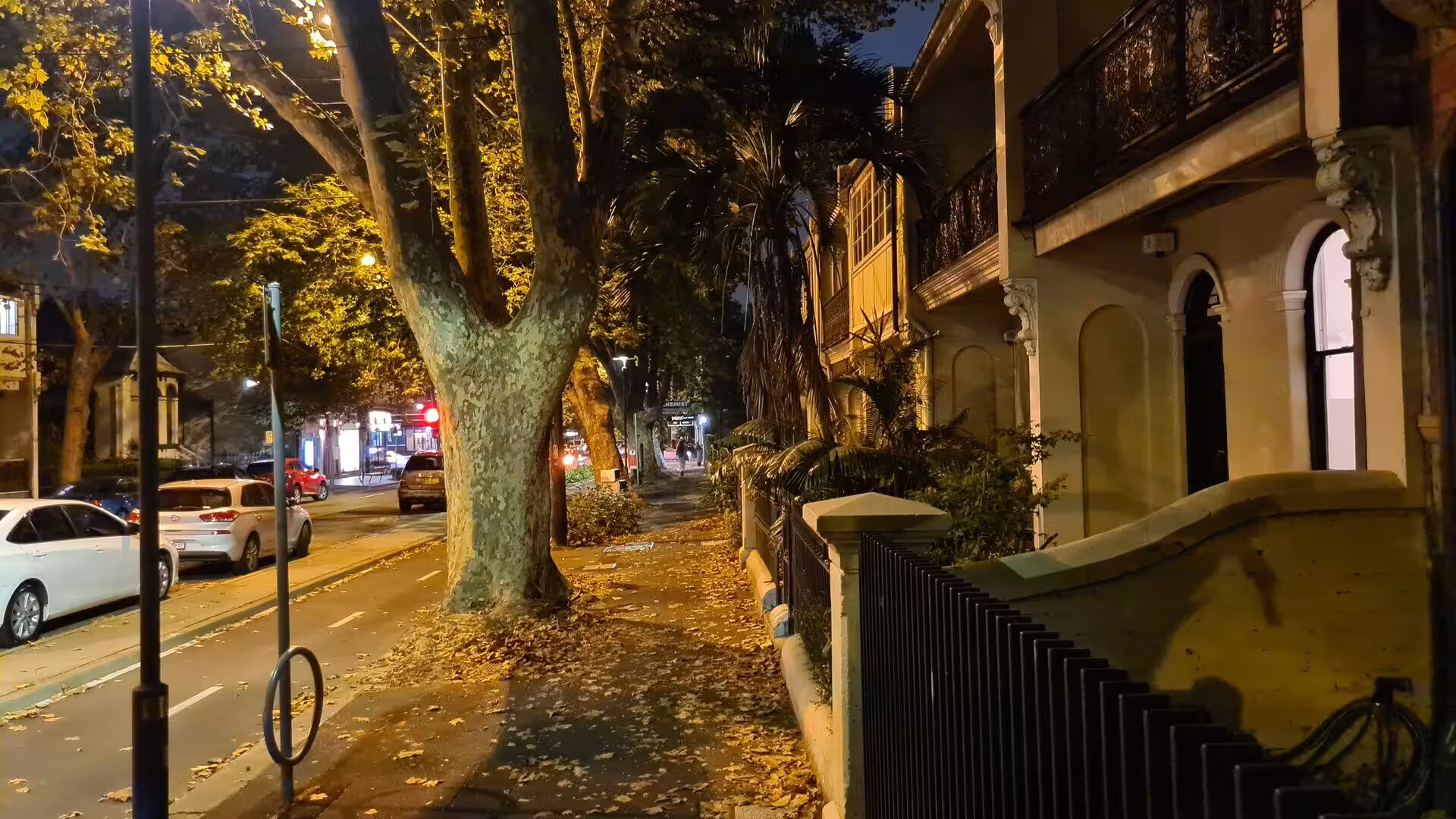 Leafy night avenue edged with terrace houses and parked cars