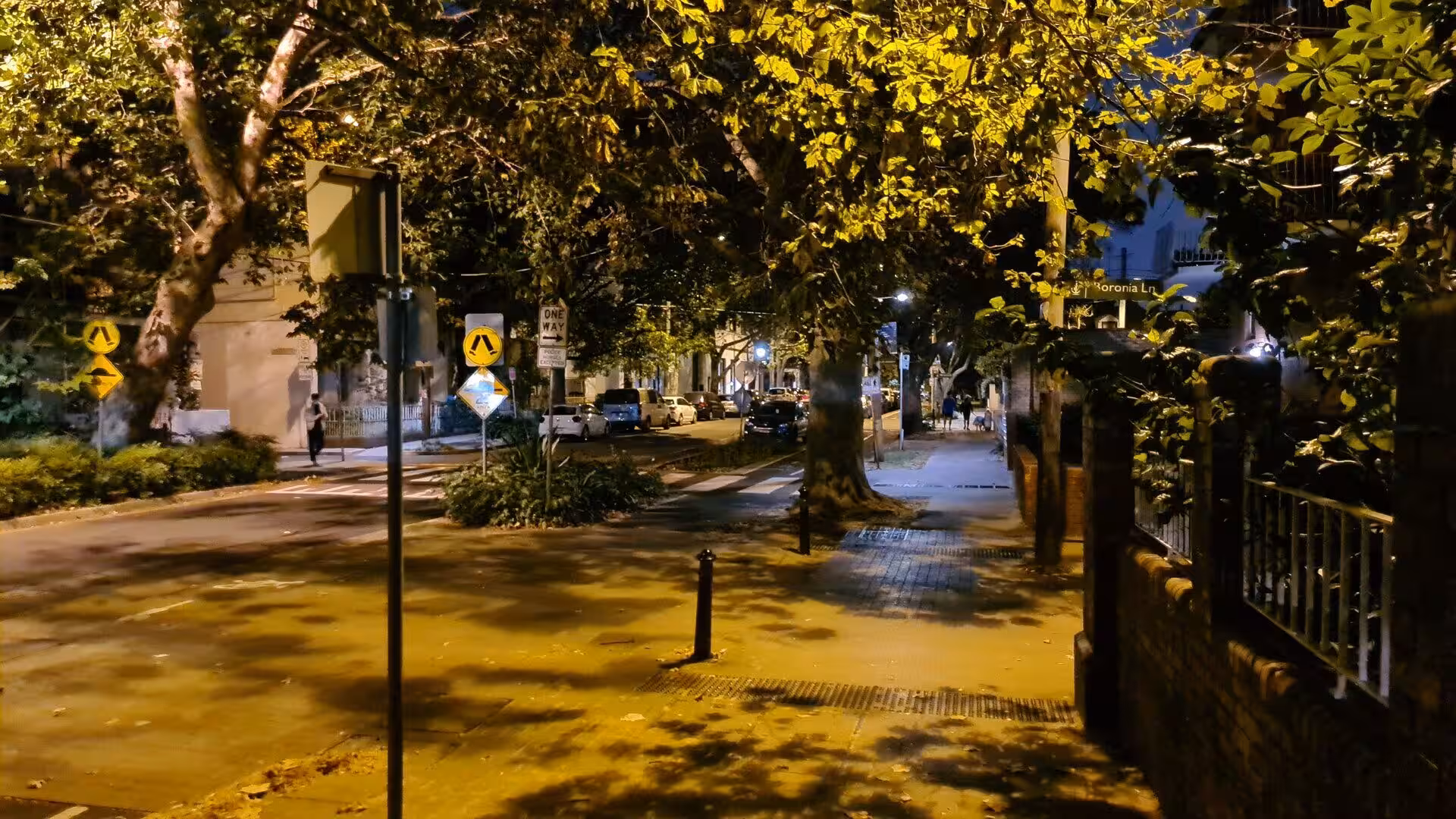 Night avenue glowing under lamps and crowded with signs and trees