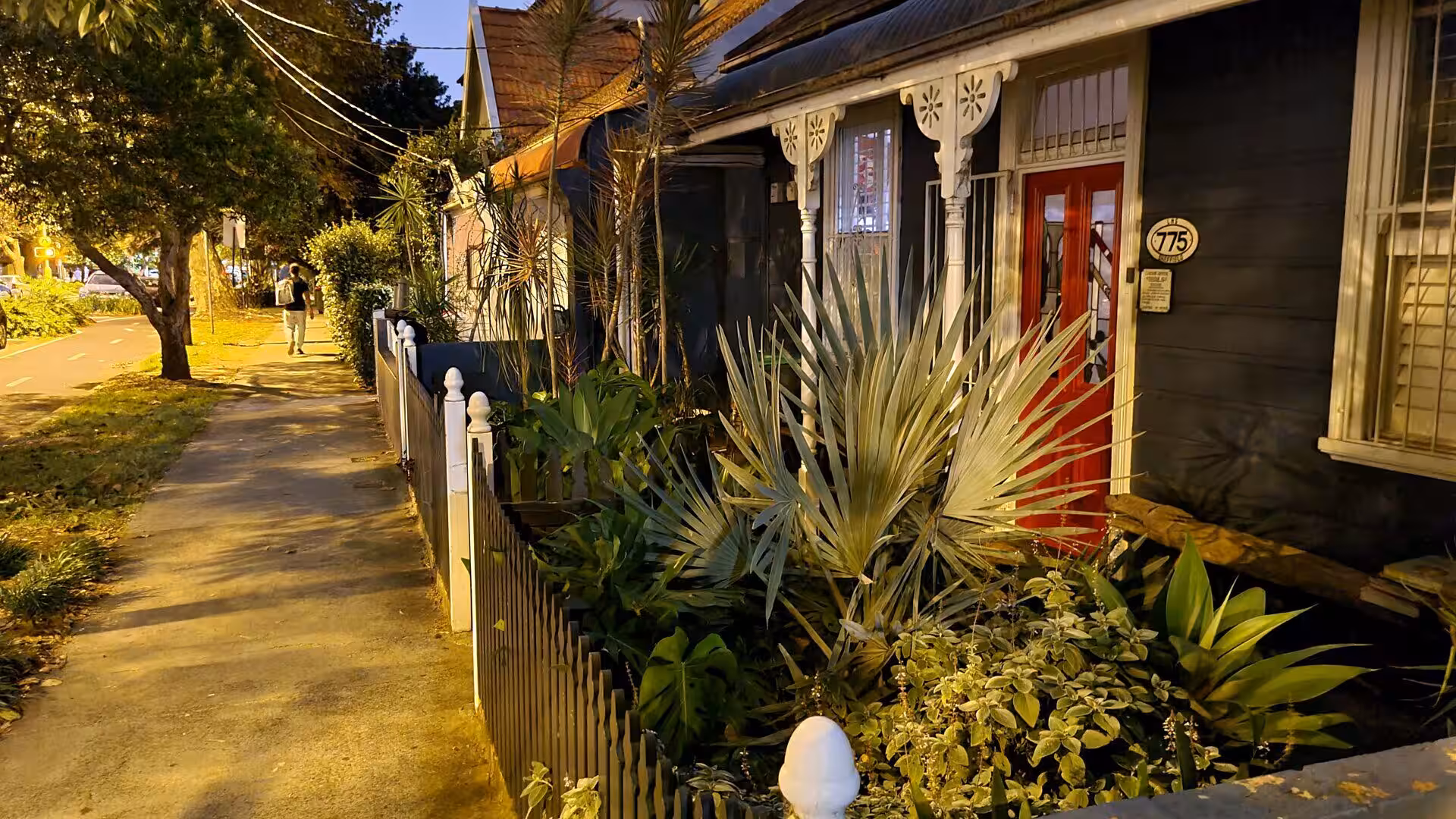 A dark wood terrace house with a bright red door and lush palm-filled garden glows in golden evening light.