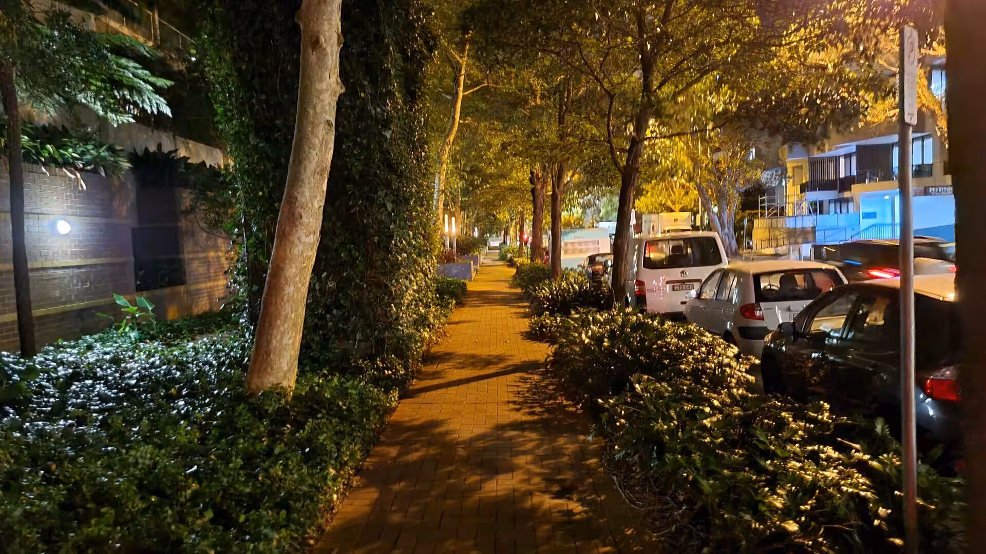 A brick footpath runs between a leafy wall and parked cars under warm streetlights at night.