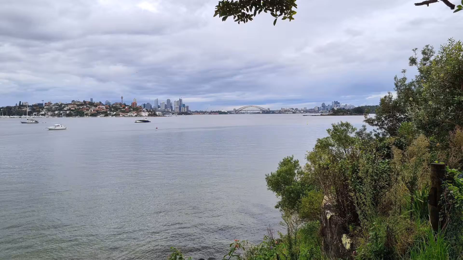 A city skyline with an arch bridge and slender tower rises across a wide, overcast harbour.