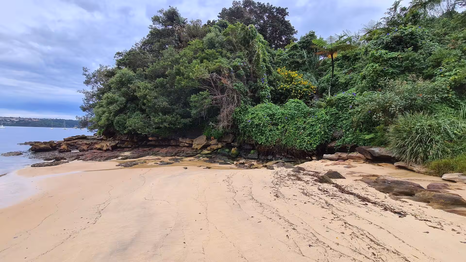 A curved sandy beach runs below a rocky, tree-covered headland beside calm water.