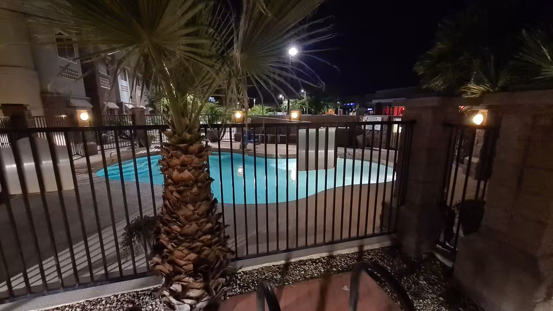 A glow-lit pool lies behind a black fence among tall palm trees.