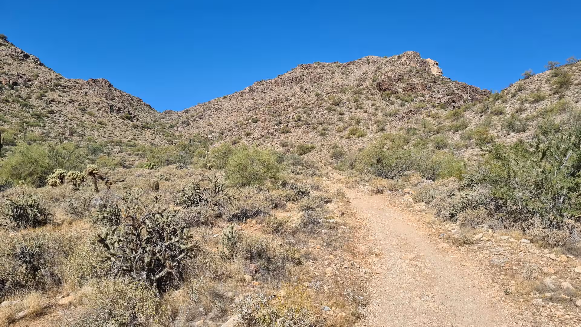 A dusty hiking path threads between cholla-covered desert slopes.
