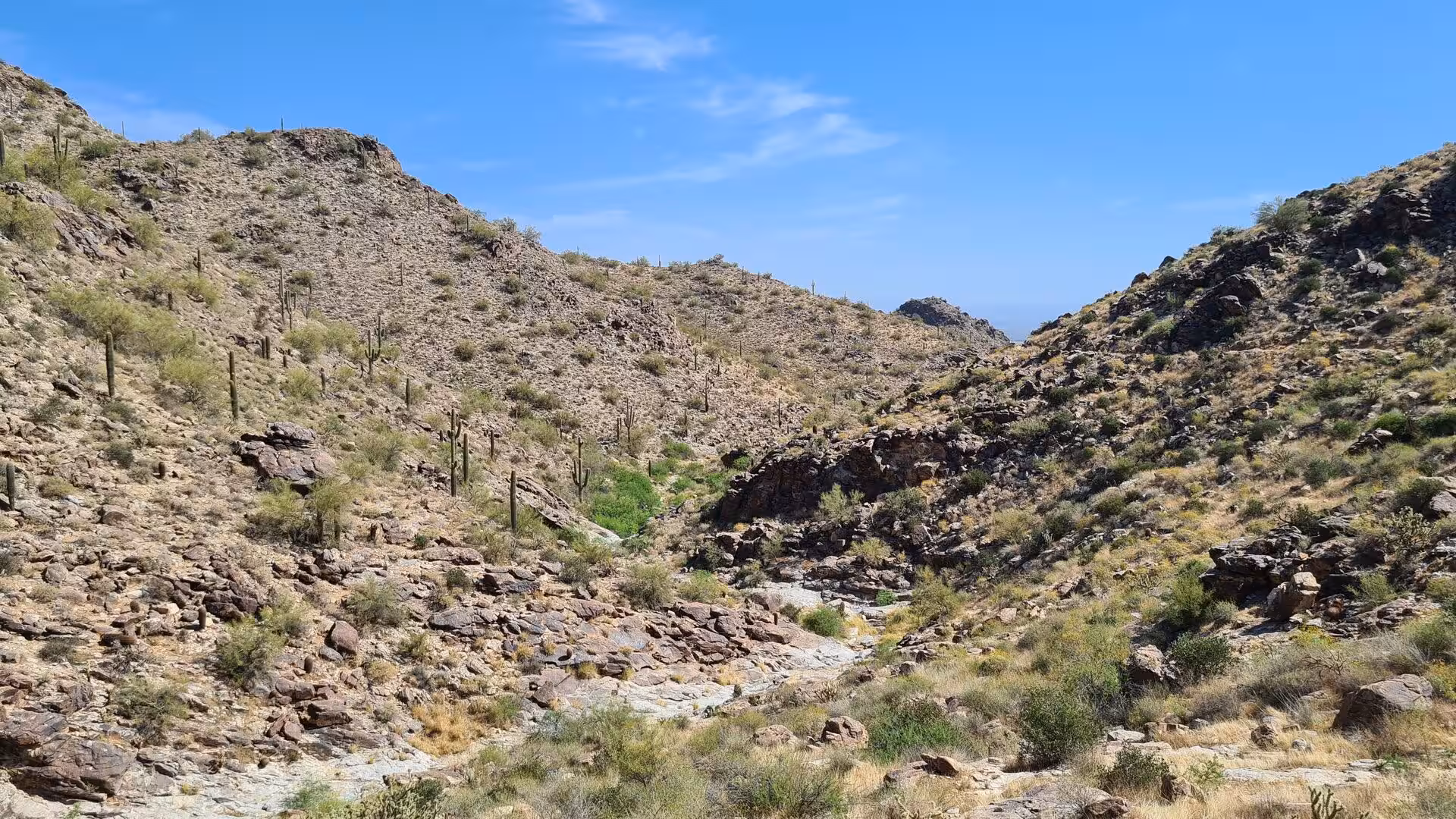 A rocky creek bed runs between cactus-dotted hillsides under a blue sky.