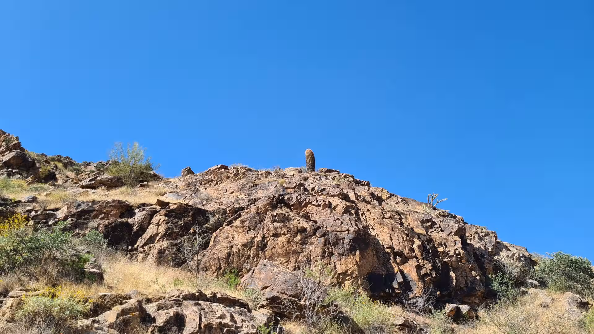 A single saguaro cactus stands on the ridge of a boulder-strewn desert hill.