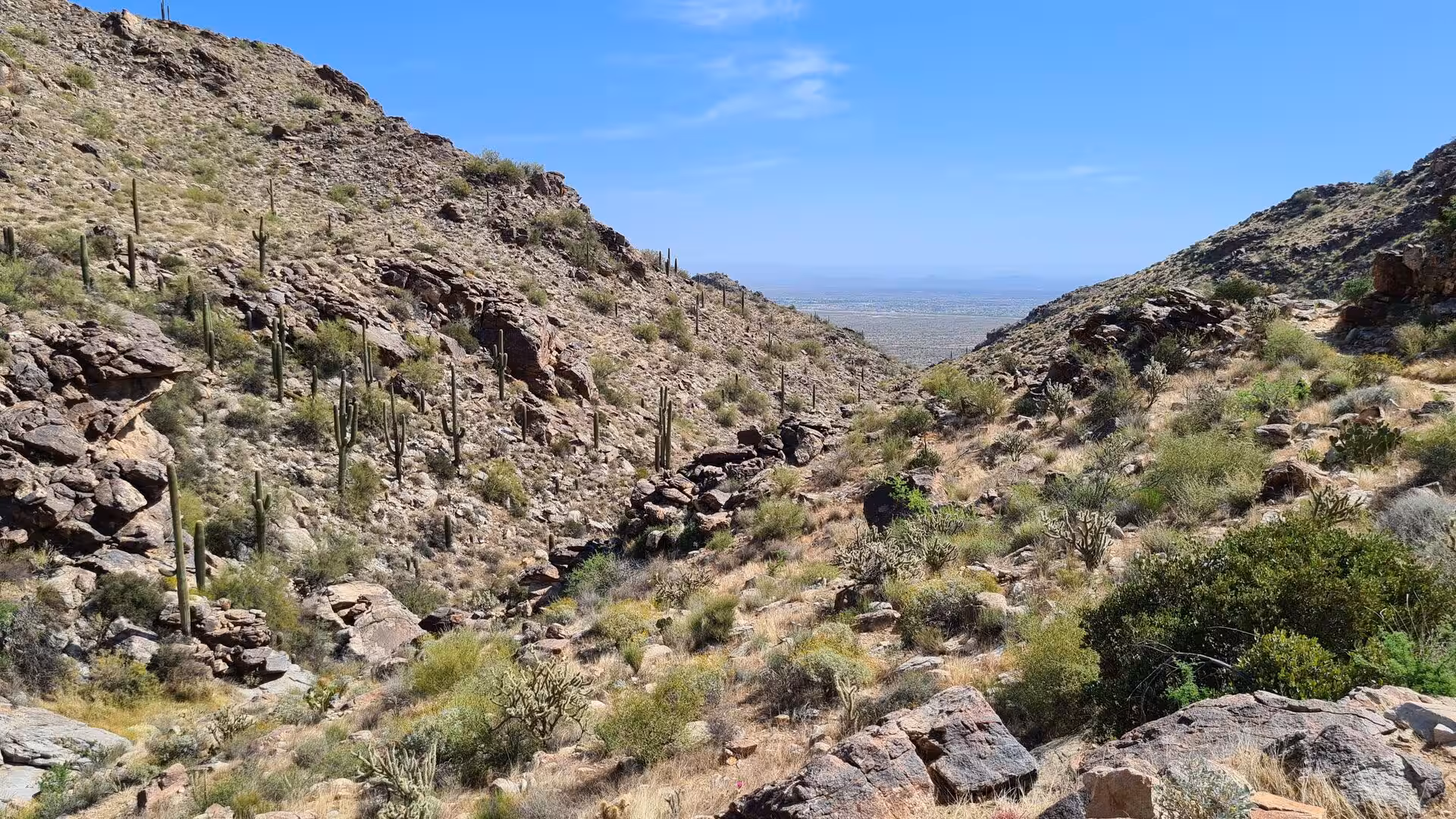 Rocky slopes with saguaro cacti open onto a hazy desert plain beneath a blue sky.