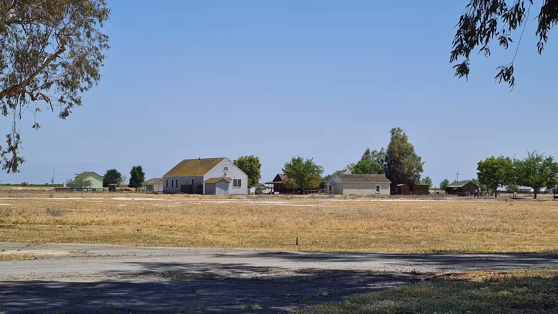 White farmhouse and sheds stand in a dry golden field.