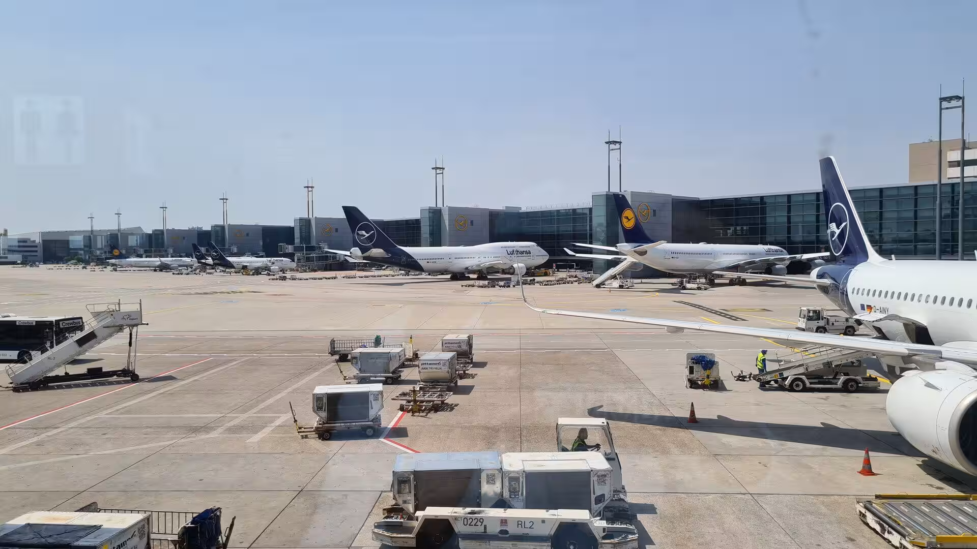 A line of Lufthansa aircraft rests at the gates under a bright blue sky