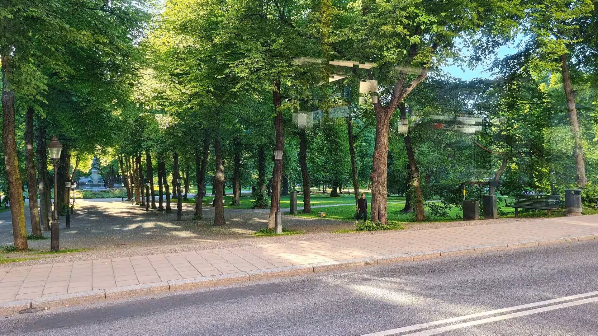 A gravel walkway winds between rows of tall green trees beside a city road.