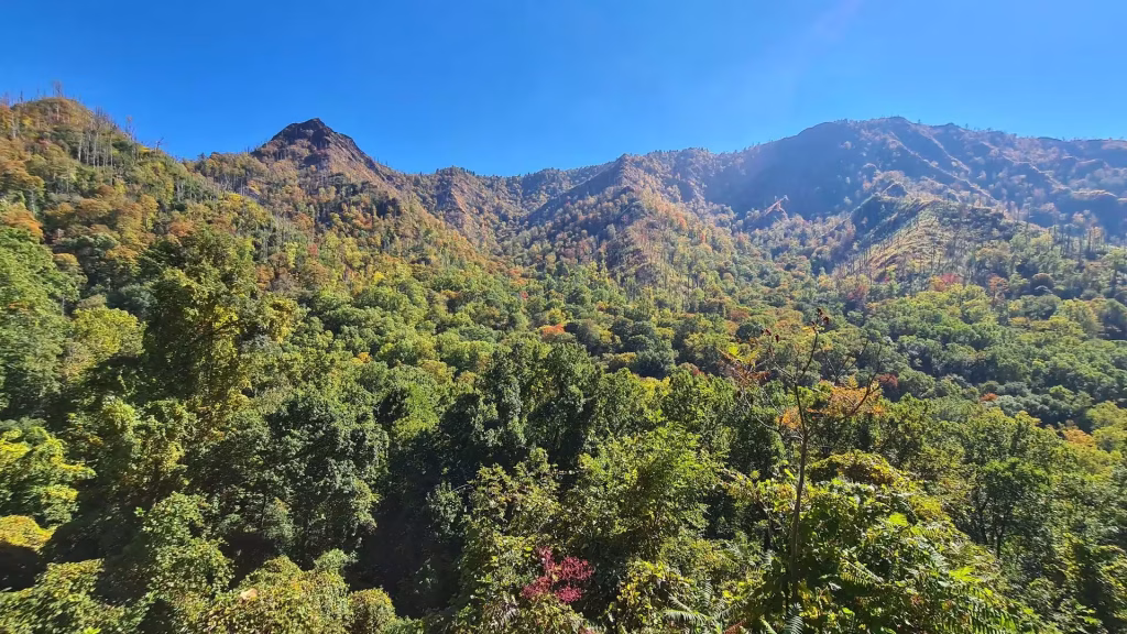 Rolling, forest-covered peaks in autumn colors stretch across a valley.