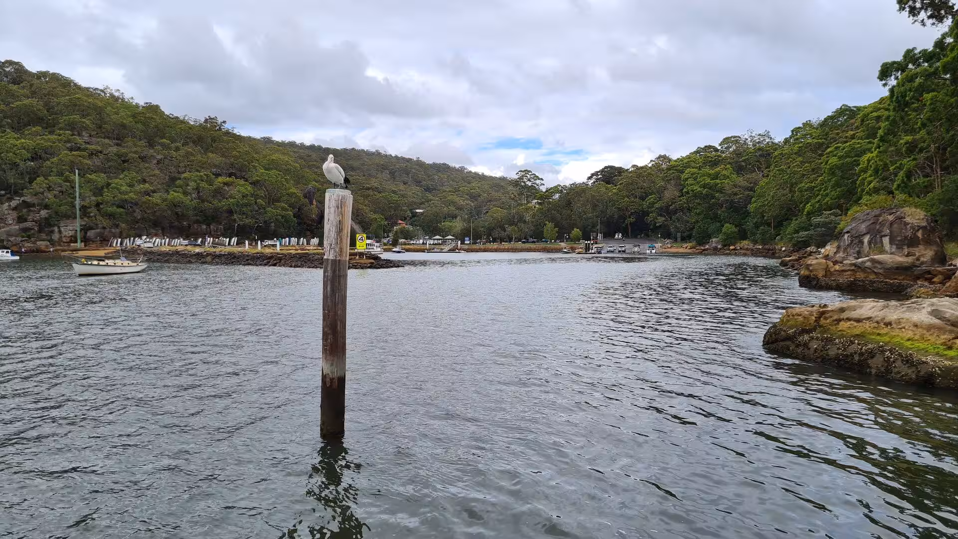 A white seagull perches on a weathered mooring post in a calm, tree-lined inlet.
