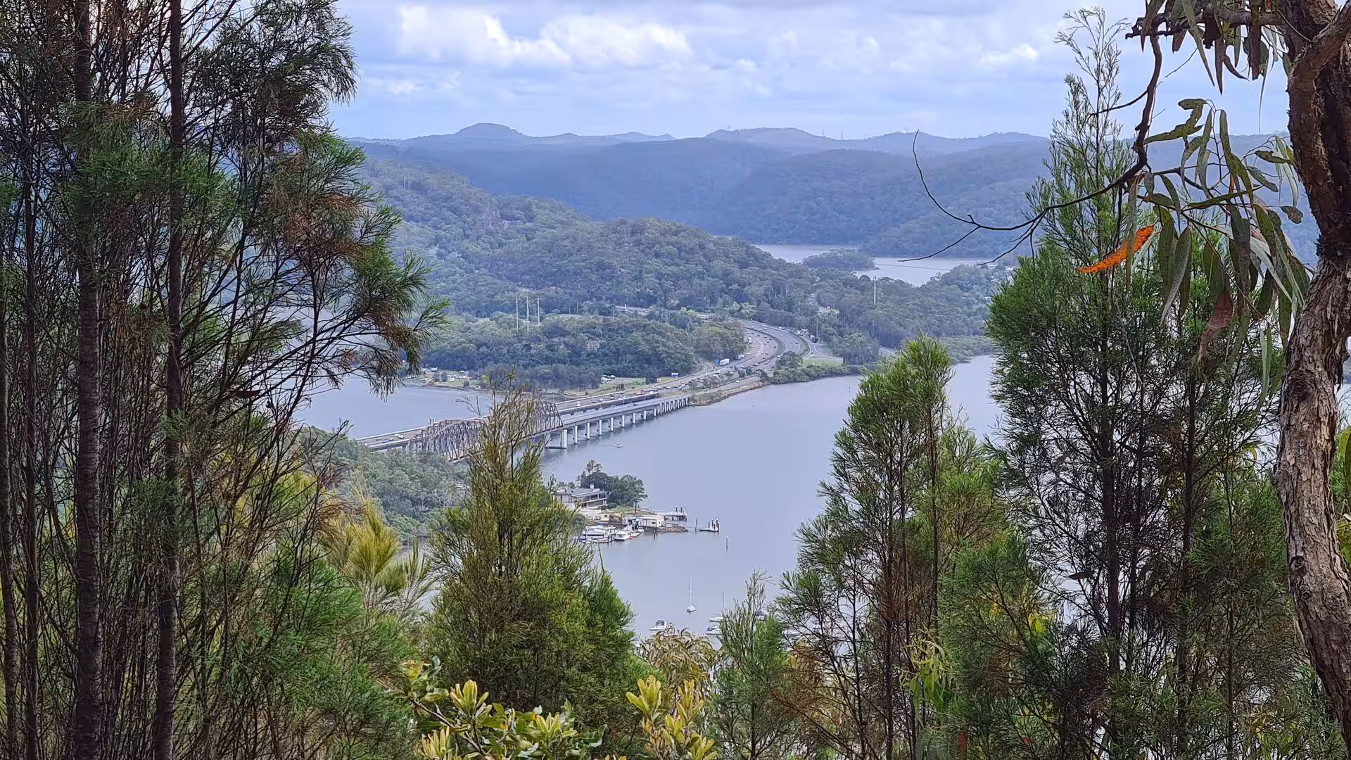 Through eucalyptus branches, a river passes a bridge and moored boats toward wooded hills.