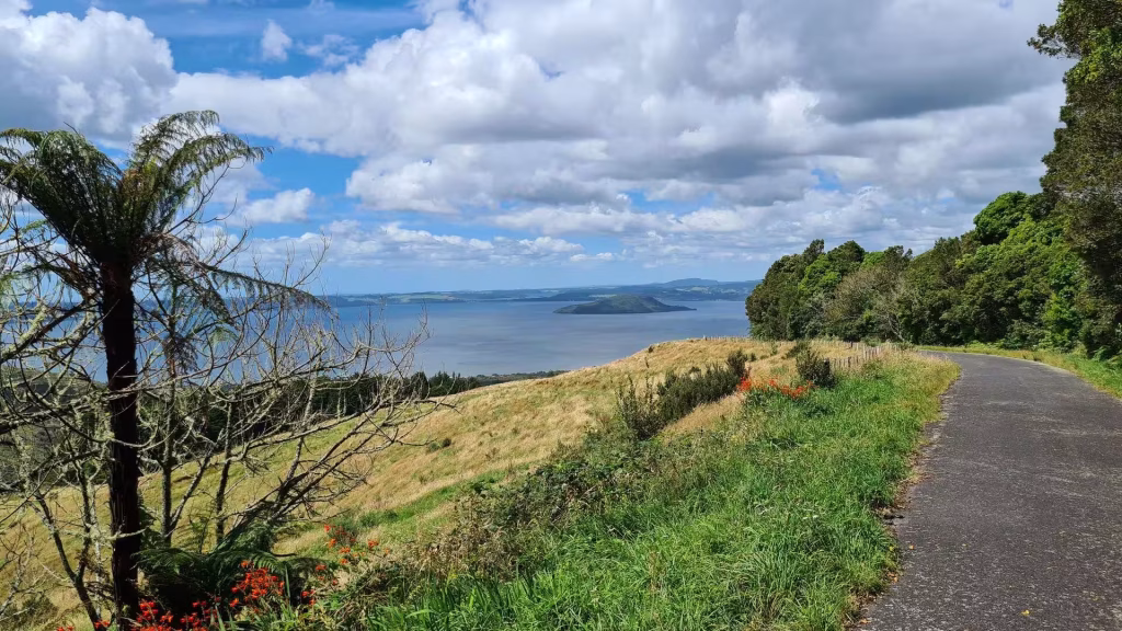 A sealed road curves along a hillside beside tussock, ferns and red flowers, with a lake and islands beyond.