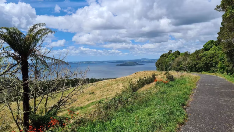 A road curving down towards a lake in New Zealand.