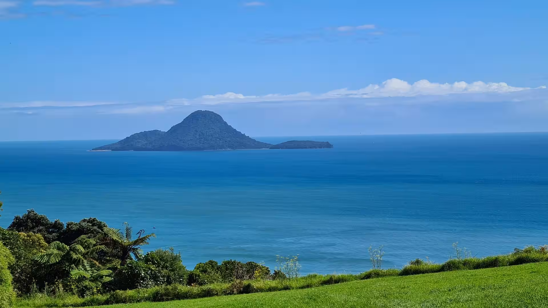 A green, forested island rises from calm turquoise sea beyond a grassy shore with palm trees.