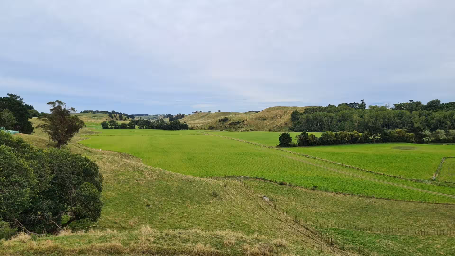Bright green fields divide into neat paddocks by wooden fences and tree-lined hedgerows.