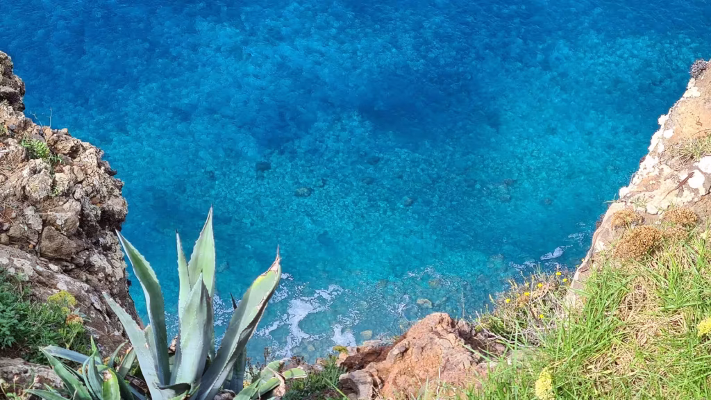 A spiky agave bursts from the rocks beside clear turquoise water far below.