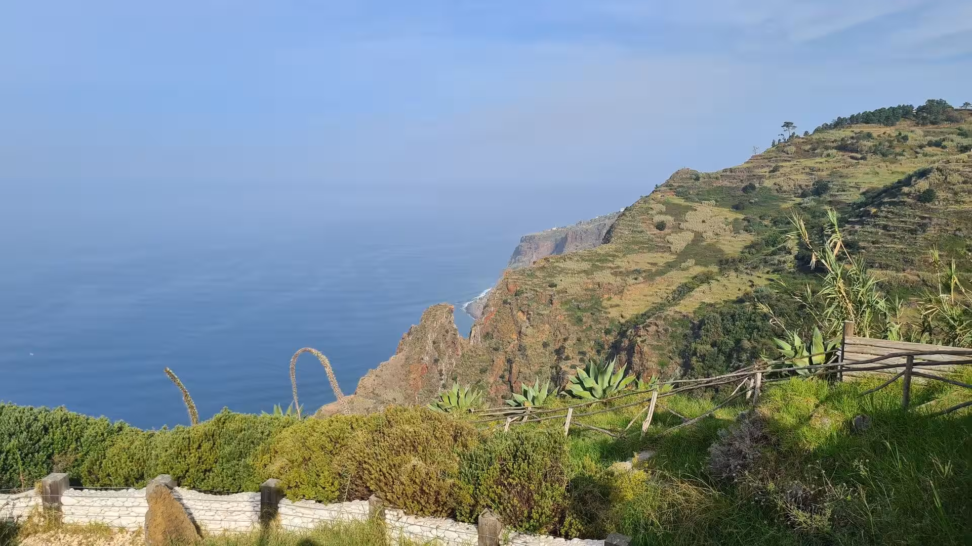 Succulents line a rustic fence at the edge of a high coastal cliff.