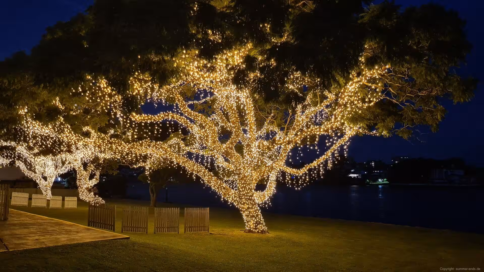 A large tree glows with thousands of warm white lights beside dark water.