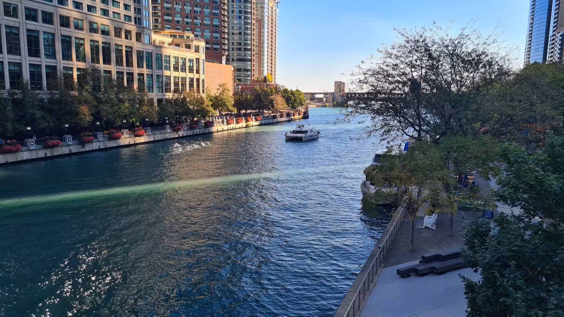 Boat traveling along the Chicago River between downtown skyscrapers, riverwalk promenades, and landscaped waterfront areas.