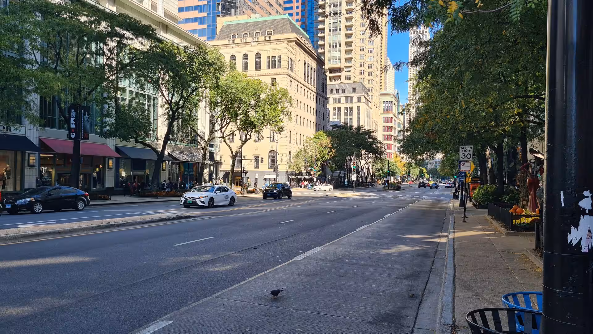 Wide downtown Chicago street lined with mature trees, historic buildings, shops, and modern high-rises under clear skies.