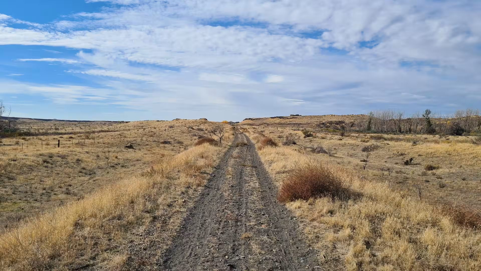 Dirt road leading through dry grassland and shrub-covered plateau beneath a wide cloudy sky