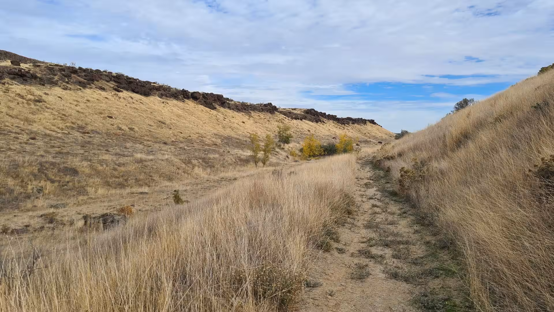 Narrow hiking trail crossing dry grass-covered hills in the Columbia Plateau landscape