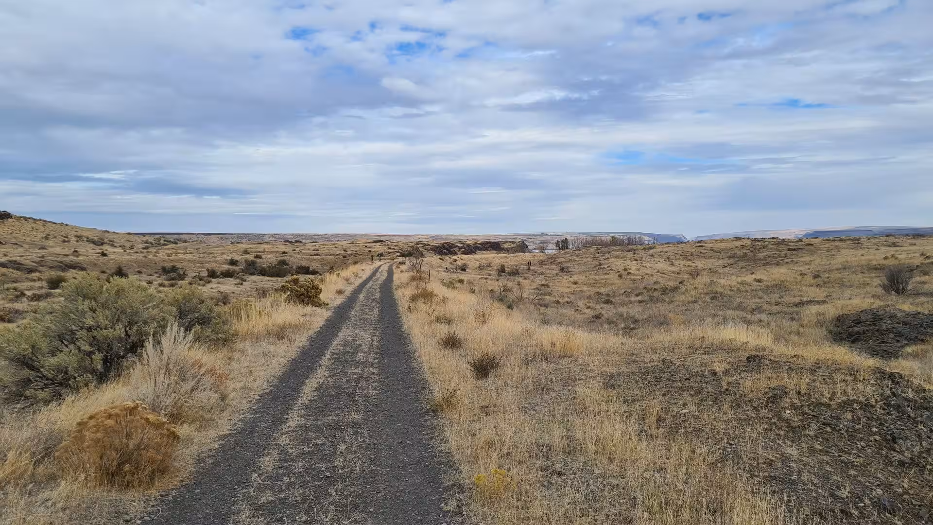 Gravel road crossing open volcanic shrub-steppe landscape in eastern Oregon
