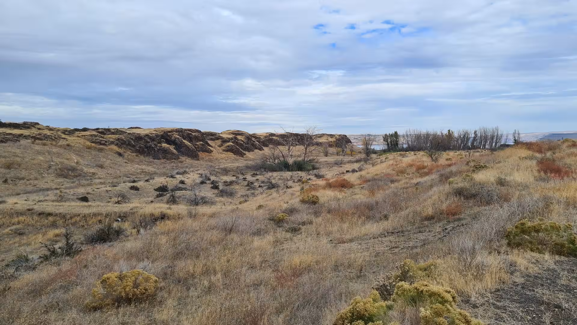 Rolling dry grasslands and volcanic basalt ridges under a cloudy sky in eastern Oregon