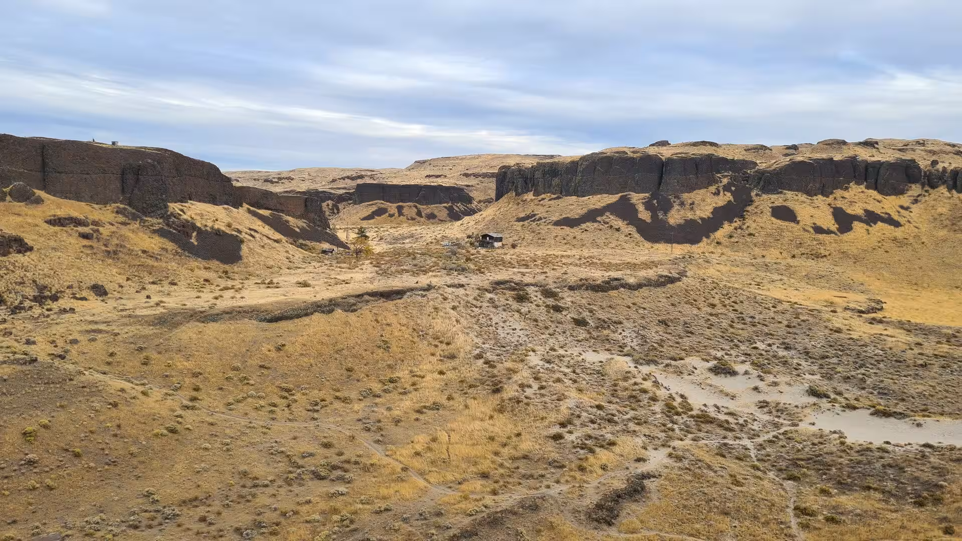 Dry canyon landscape with towering basalt cliffs and golden grasslands in the Columbia Plateau region