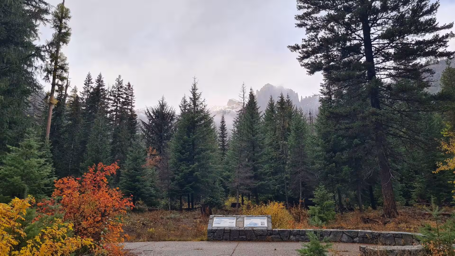 Dense evergreen forest with autumn colors and misty mountain peaks in the Cascade Range