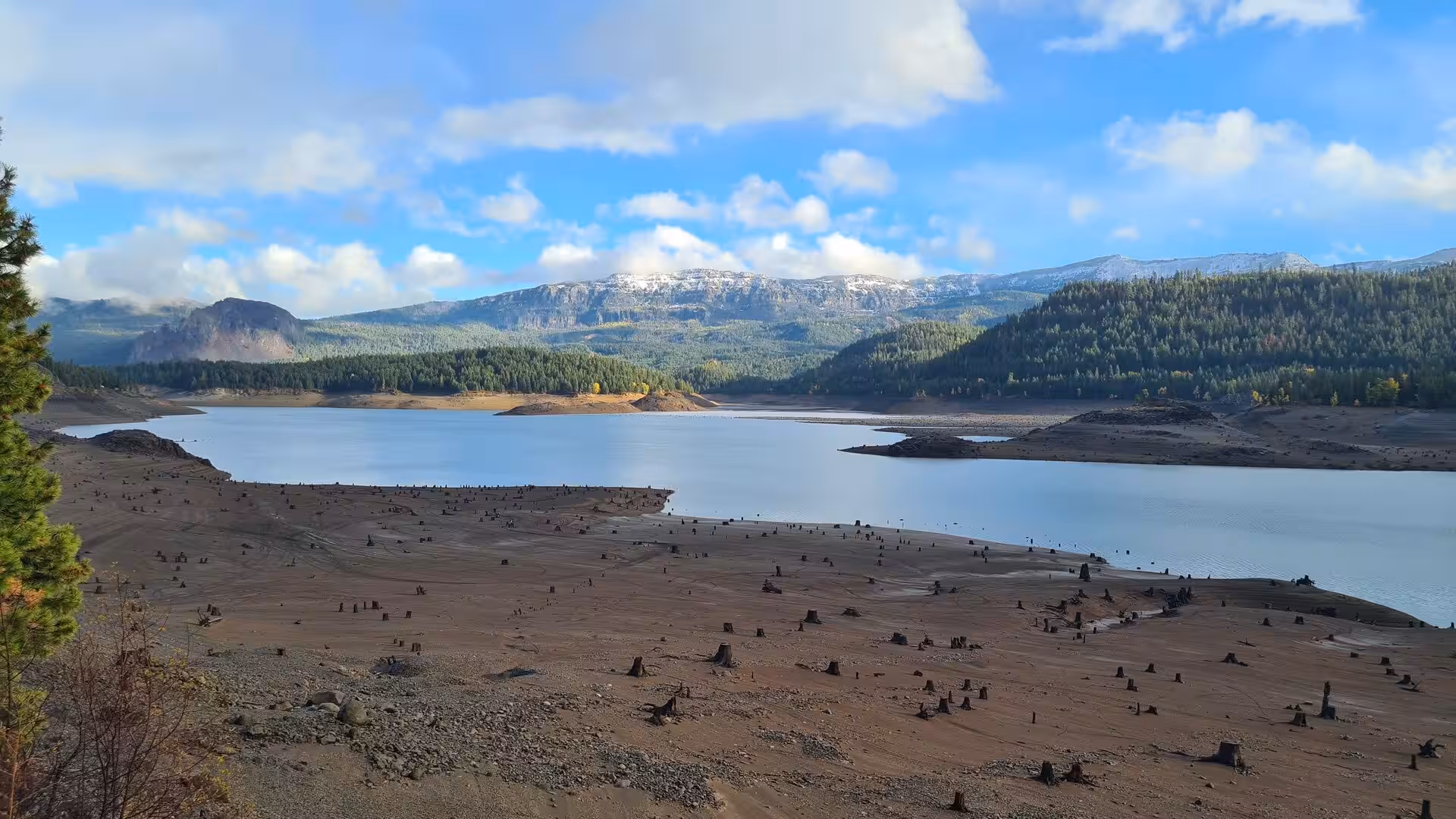 Reservoir with exposed lakebed and tree stumps beneath forested mountains and patches of early snow