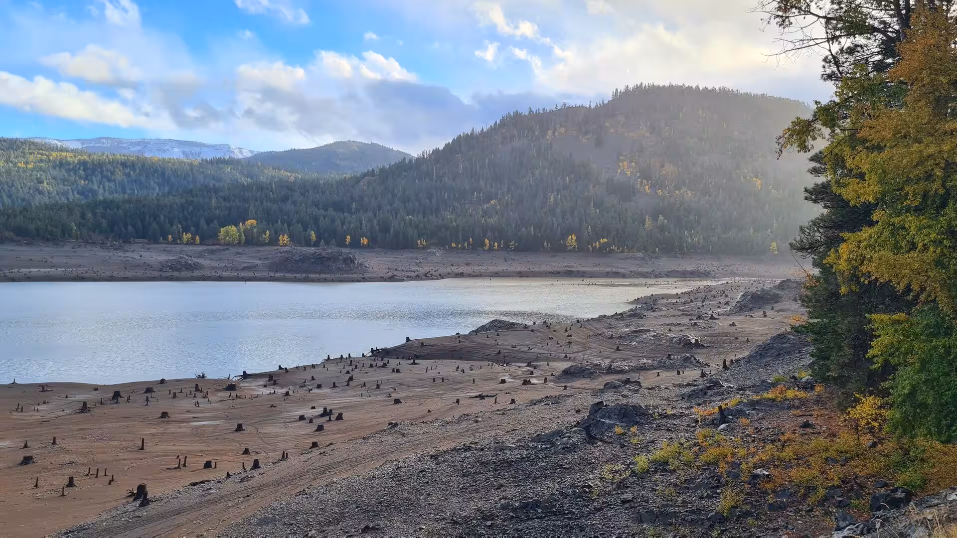 Low reservoir water revealing tree stumps and exposed shoreline beneath forested mountain ridges