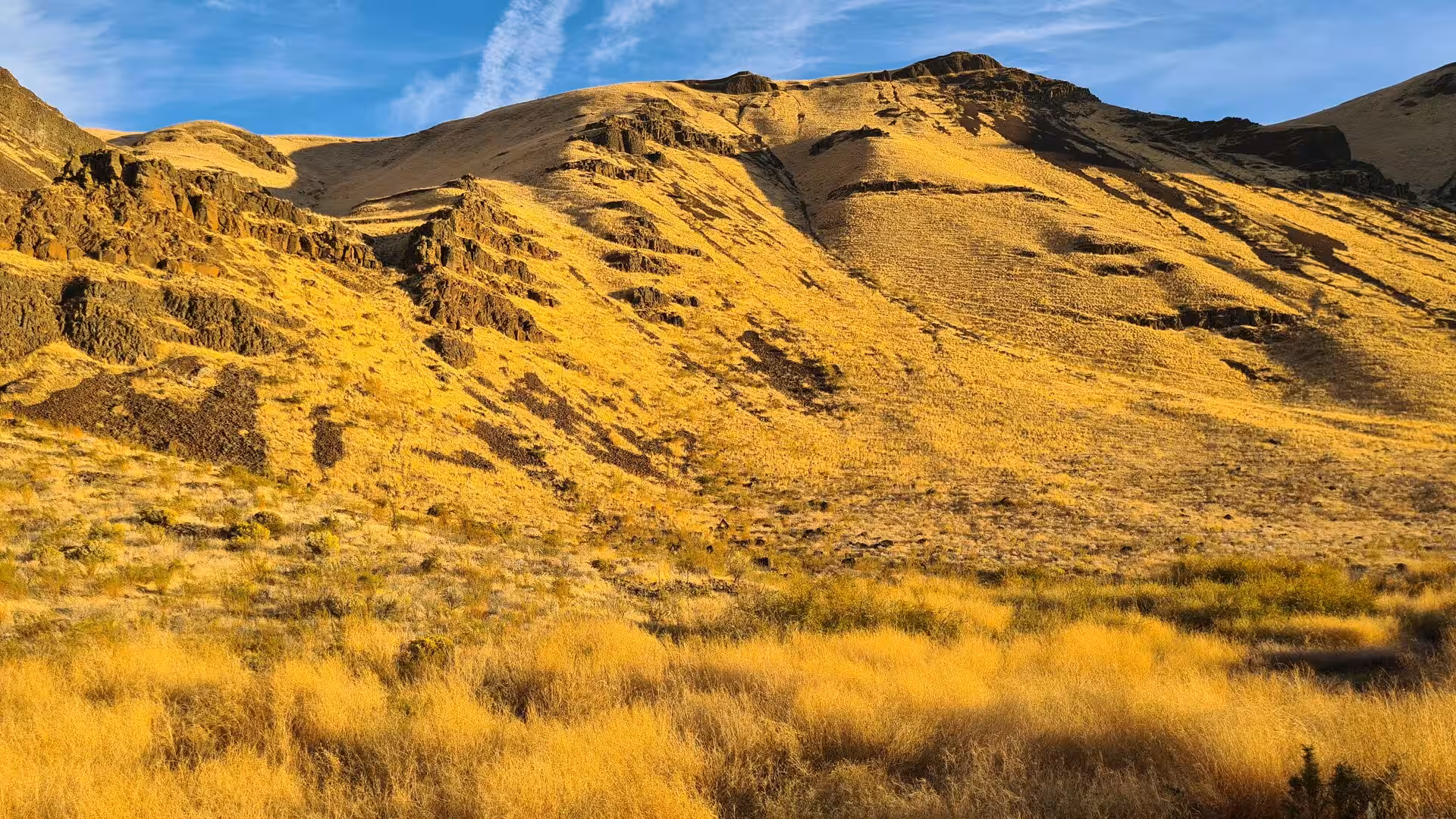 Sunlit basalt hills covered in golden grass under a blue sky in the dry canyon landscape of eastern Washington