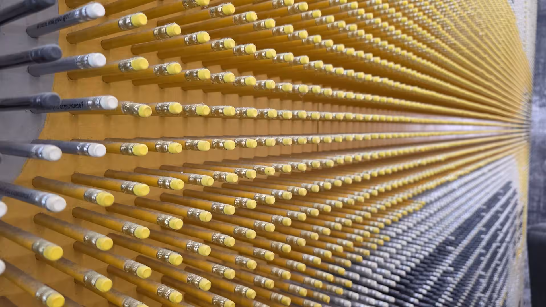 Perspective view of hundreds of yellow pencils arranged in rows as a public art installation in Chicago