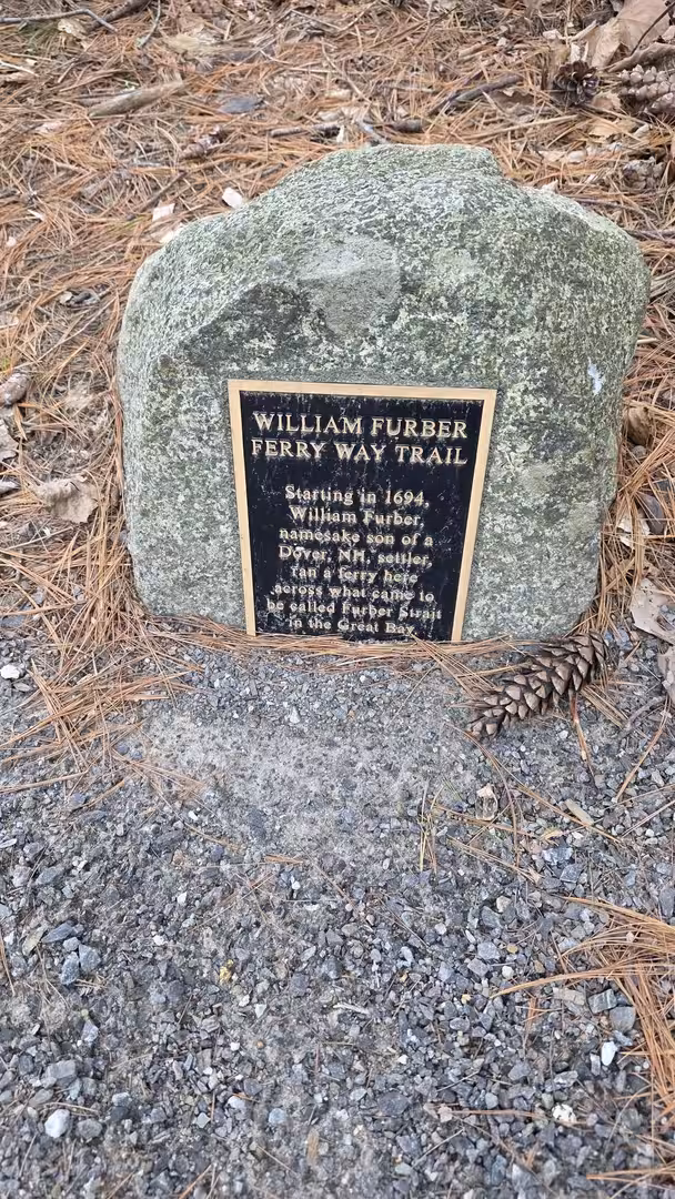 Historic trail marker mounted on a stone beside a forest path covered with pine needles.